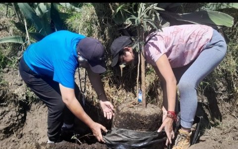 Labores. Los vecinos realizan mingas dos veces al mes como parte del trabajo de recuperación de sus territorios afectados.