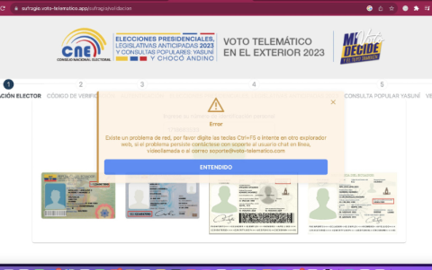 Captura de pantalla. Así se muestra el portal web para el voto telemático.