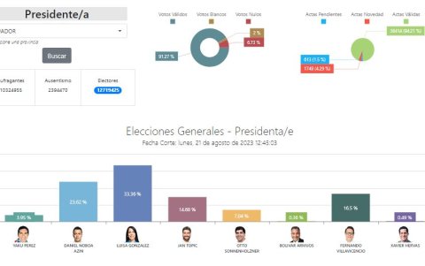 Captura de pantalla del sistema de consulta de resultados de votaciones presidenciales del 20 de agosto pasado.