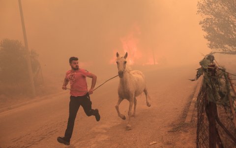 Un hombre corre  y aleja a un caballo  de la zona de peligro por el fuego.