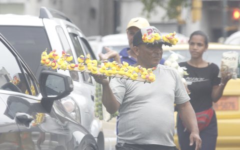 Vendedor. Uno de los vendedores que ofrece los patitos en las esquinas del norte de Guayaquil.