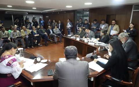 En audiencia pública de escrutinios, el pleno conoció la resolución de nulidad de la Junta del Exterior.