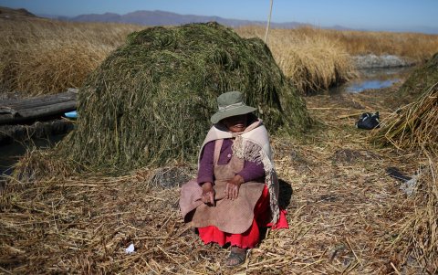 Huarina. Una mujer se sienta cerca de plantas extraídas del lago Titicaca.