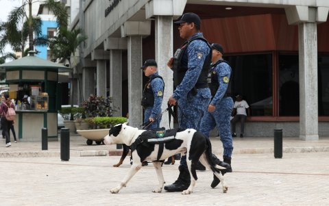 Los canes patrullan junto a sus guías las calles céntricas de Guayaquil.