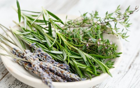 Se las puede consumir al natural o secas.