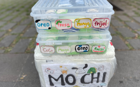 Se los puede conseguir en varios sabores.