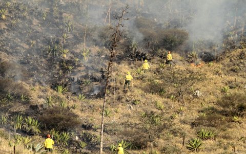 Labor. Desde el martes 29 de agosto los bomberos trabajan.