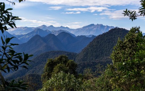 Chocó Andino, la séptima reserva de la biósfera de Ecuador