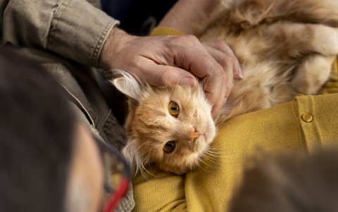 Lo mejor es no dejarse llevar por los  '¿qué hubiera pasado si?', y lo ideal sería buscar ayuda.