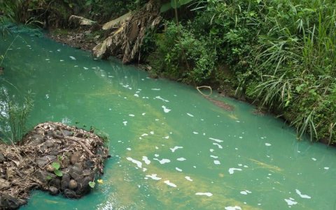La imagen muestra la afectación al estero por el derrame de combustible.