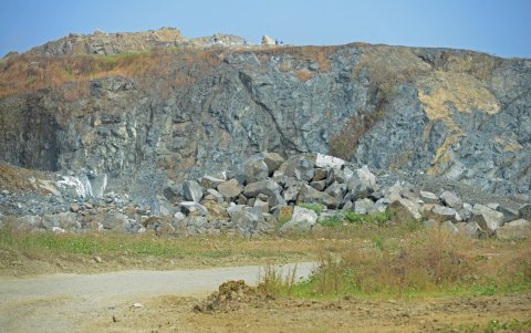 Daño. Además de la afectación a la salud por convivir con el polvo, la ciudadanía también reclama por la pérdida de áreas verdes en la zona.