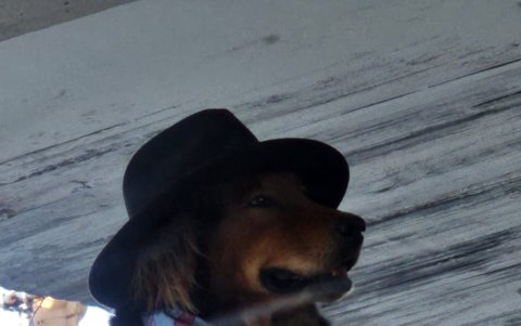 Tommy tiene decenas de accesorios para sorprender a diario por las calles de Los Ceibos.