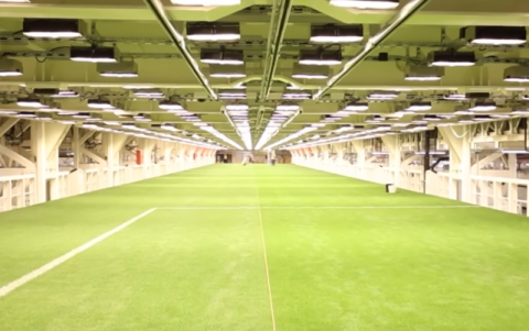 Cada placa del campo se guarda en una estructura de megainvernadero artificial a 30 metros de profundidad