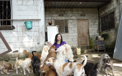 Fundación Villa Animal.