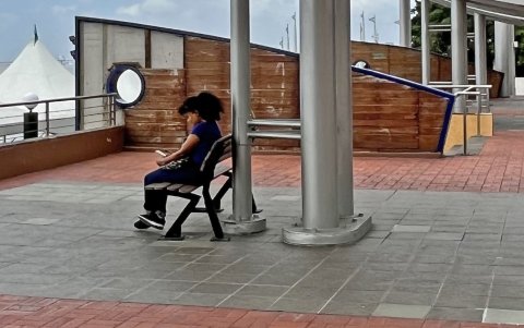 Arreglos. Faltan piezas en ornamentos. El mobiliario está dañado. La pintura se ha desprendido de los bordillos.