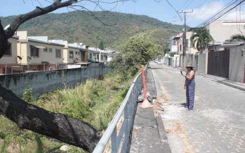 Hay espacios donde incluso la vegetación que ha crecido sin control en el lugar ha roto las veredas.