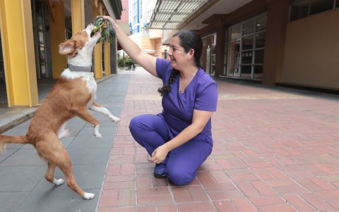 Molineros también se desempeñó como asesora técnica de la fundación Rescate Animal.