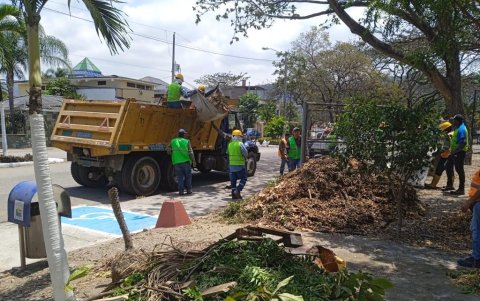 Seis parques de la cooperativa Unión de Bananeros fueron intervenidos el pasado 9 de septiembre.
