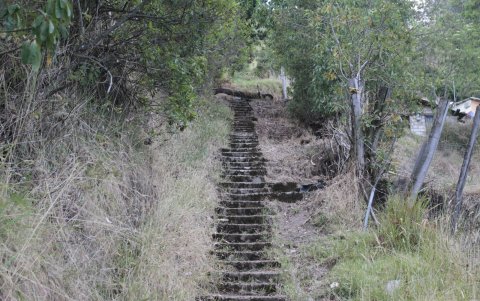 Escalinata. El camino es pesado.