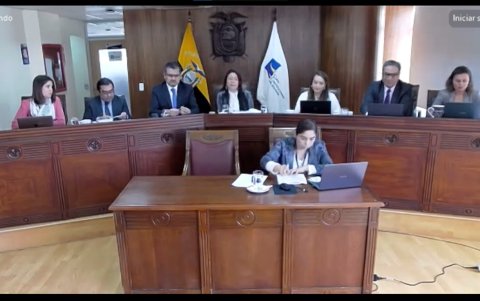 La audiencia de inconstitucionalidad fue sustanciada por la juez Alejandra Cárdenas.