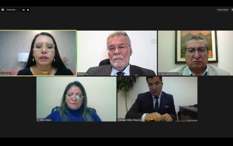 El pleno del Consejo Nacional Electoral resolvió pedir que el IESS remita inmediatamente la información.