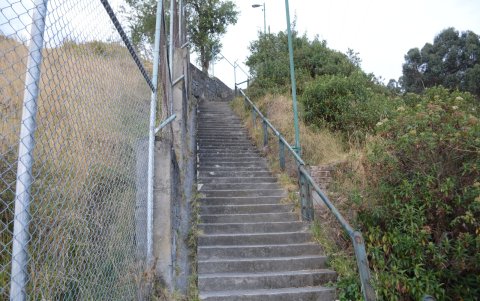 Crecimiento. Entre los escalones existe maleza que crece indiscriminadamente.