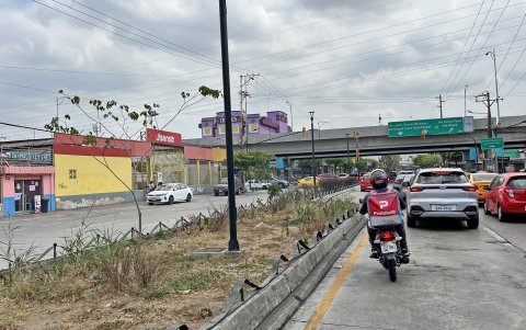 Mantenimiento. Desde que culminó el contrato de mantenimiento de las áreas verdes de esta zona, las jardineras no han tenido riego ni control fitosanitario.