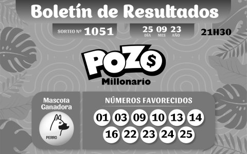 BOLETIN POZO 1051, REVANCHA 38 - LUNES 25 DE SEPTIEMBRE 2023