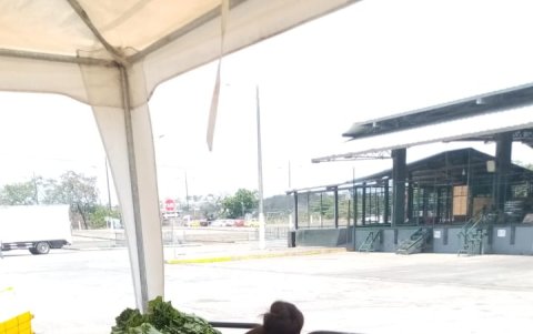 Una voluntaria organiza los alimentos que han sido recogidos durante uno de los operativos diarios que se ejecutan en los mercados de Guayaquil.