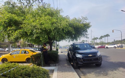 Empleado municipal junto a un centro comercial de La Puntilla.