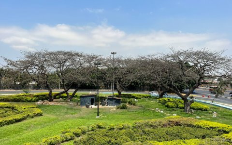 En el redondel de La Puntilla también se ve el problema