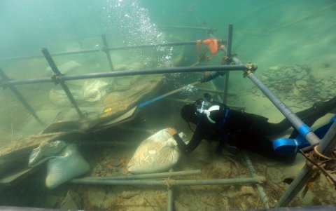 La  operación ha permitido sacarlo a flote y llevarlo a tierra.