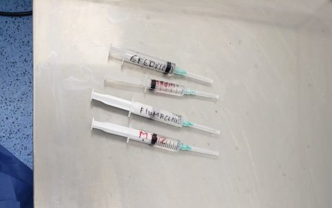 Durante la inspección, las autoridades encontraron medicamentos caducados y algunos sin fecha de utilización.