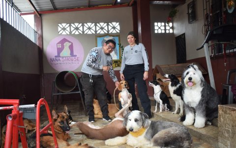 La Escuela de Canes Guayaquil también hace las veces de hotel y guardería.
