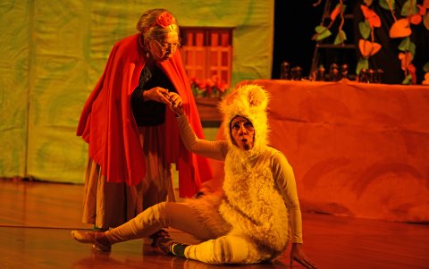 En el 2024 estiman que habrá un mayor índice de propuestas.