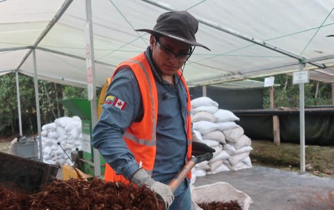 Reproducción. Un hombre trabaja en un vivero en Zamora Chinchipe (Ecuador).