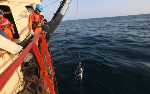 Botella. Un CTD junto a una botella que facilita el flujo de agua para futuras muestras.