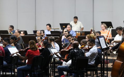 Alguno de los miembros de la Orquesta Sinfónica de Guayaquil durante los ensayos, al mediodía de este jueves 13 de octubre de 2023.