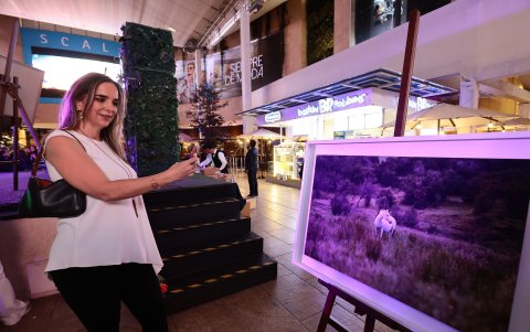 Manuela Cobo toma una foto a una de las obras expuestas.