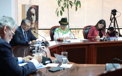 El Pleno del CNE conoció los resultados preliminares para la dignidad de binomio presidencial.