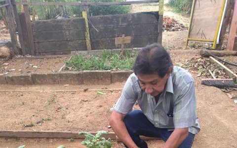 Colegio. José Luzardo, de la mesa técnica de cultivos urbanos del Colegio de Ingenieros Agrónomos del Guayas.