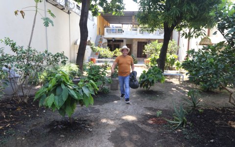Mapasingue. En Casa Rohayhu hay unas 40 plantas de cacao fino de aroma sembradas en un patio.