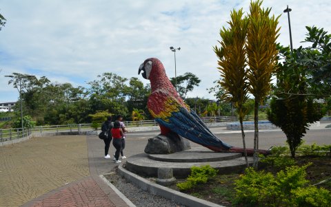 En el papagayo, la mayoría de turistas se toman fotos para el recuerdo