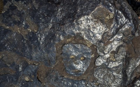 Una figura con muestra el 