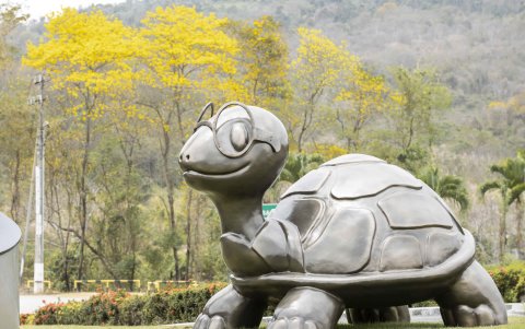 La Espol tiene bajo protección más de 332 hectáreas de bosque tropical seco.