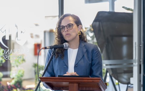 Antes de la disolución de la Asamblea, un grupo de legisladores analizaba el juicio político a Brown.