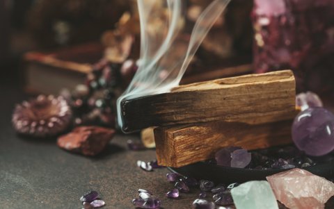 El aroma de esta madera aleja los insectos