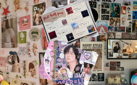 Fotos, posters, discos, playlist. Ellos por su pasión son capaces de coleccionar varias cosas que aludan a su personaje favorito.