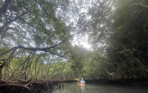 Turistas navegan en un kayak en el Parque Nacional Los Haitises