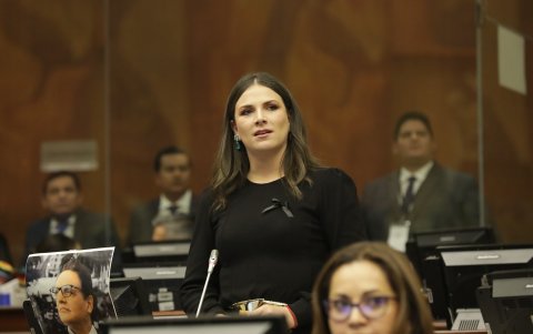 En la sesión inaugural, Construye propuso a Amy Gende para el CAL, pero no fue apoyada.